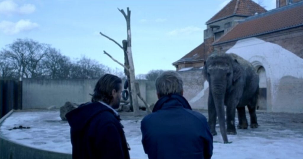 The Boss of It All - Direktøren for det hele - Lars von Trier - Peter Ganzler - Jens Albinus - Ravn - Kristoffer - zoo - elephant - neutral territory
