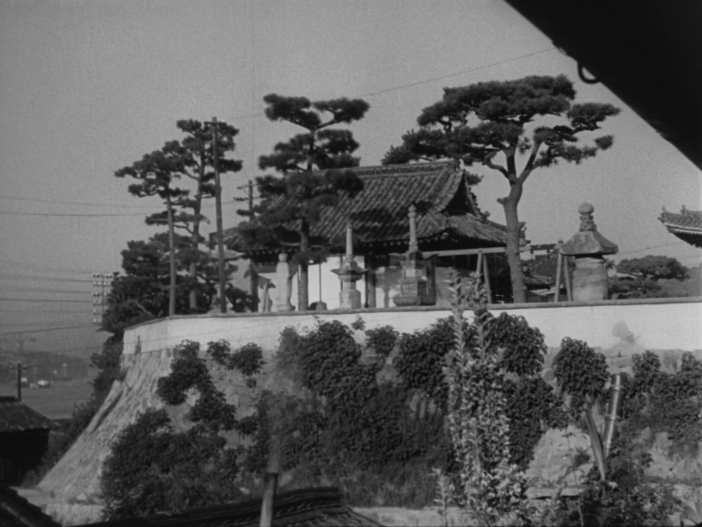 Tokyo Story - Tokyo monogatari - Yasujiro Ozu - pillow shot - Hirayama house - trees - Onomichi