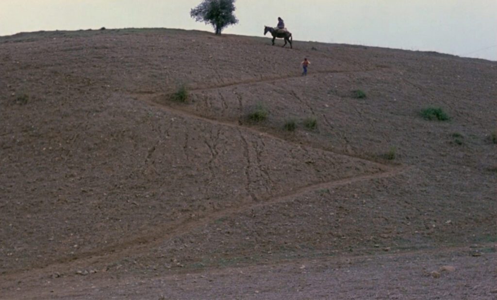 Where Is My Friend's Home? - Abbas Kiarostami - Babak Ahmadpour - Ahmad - horse - switchbacks - hill - tree