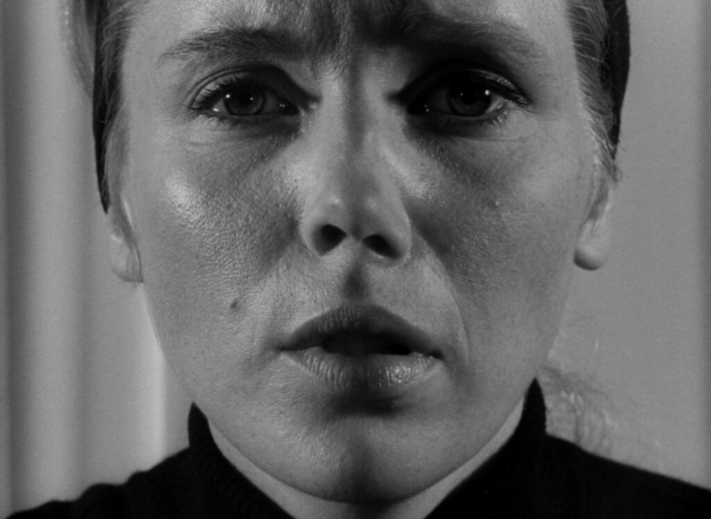 Persona - Ingmar Bergman - Bibi Andersson - Liv Ullmann - suture - close-up - faces - merged