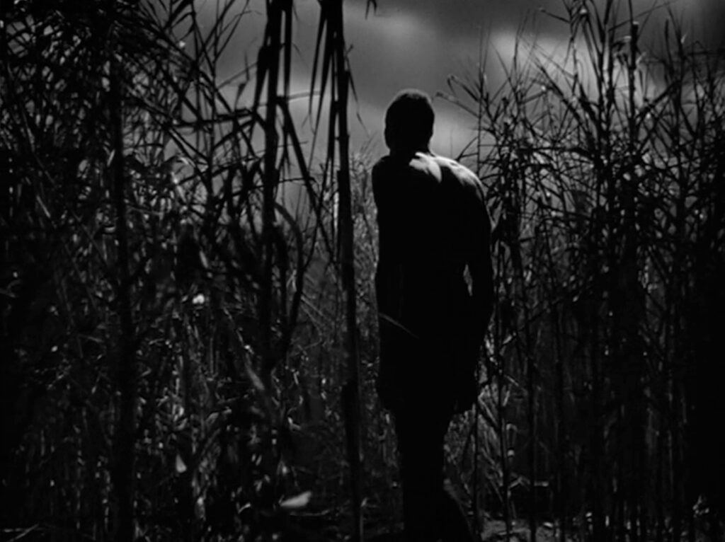 I Walked with a Zombie - Jacques Tourneur - Darby Jones - Carrefour - sugarcane