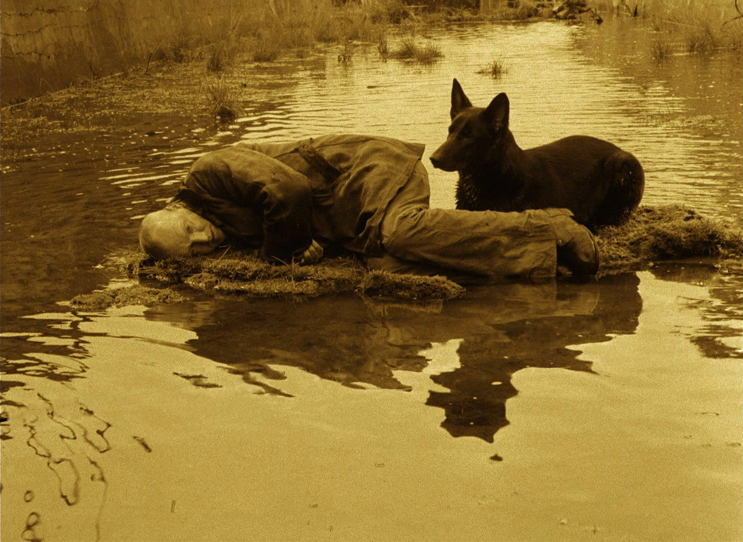 Stalker - Andrei Tarkovsky - Alexander Kaidanovsky - dog