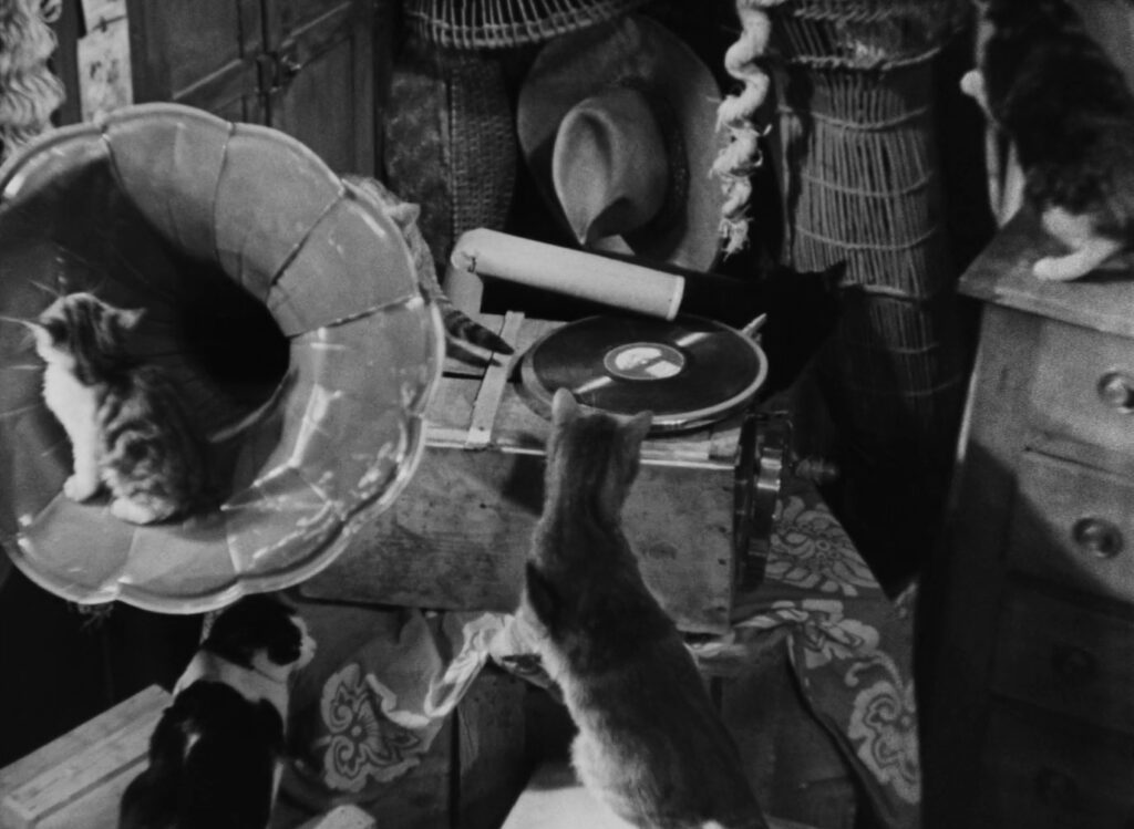 L'Atalante - Jean Vigo - phonograph - cats