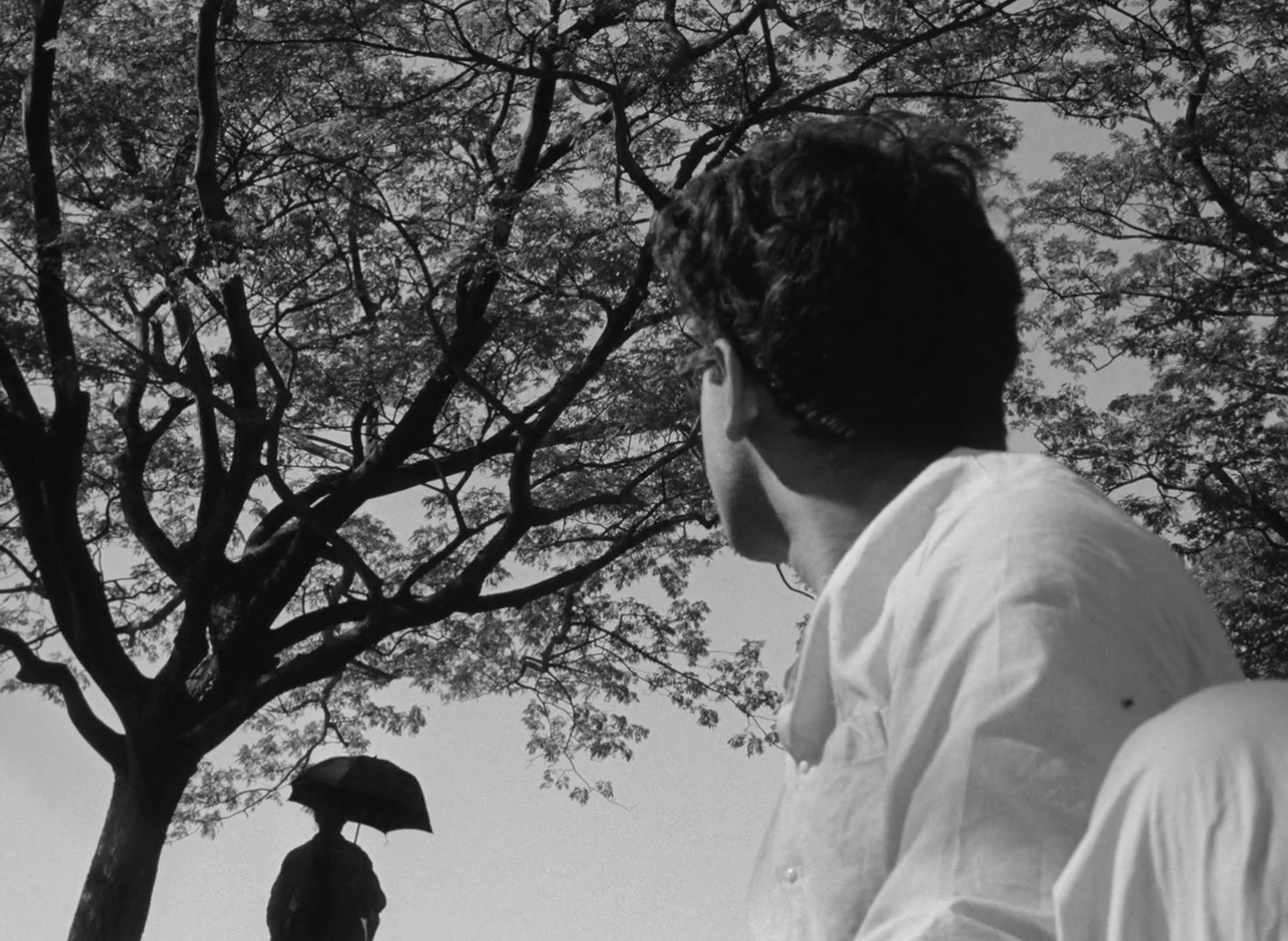 The Cloud-Capped Star - Meghe Dhaka Tara - Ritwik Ghatak - Supriya Choudhury - Niranjan Ray - Neeta - Sanat - tree - umbrella