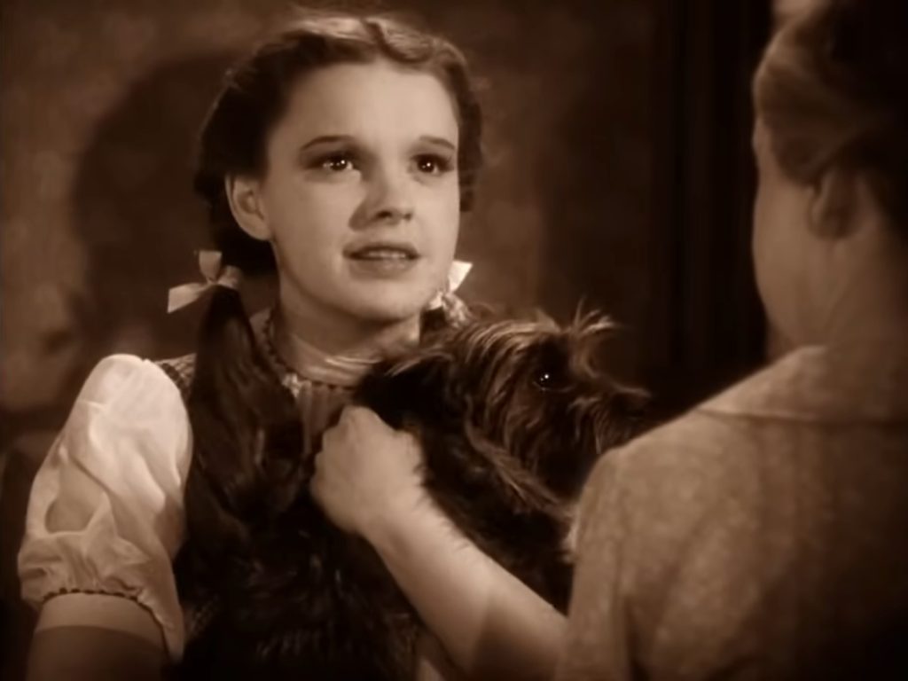 The Wizard of Oz - Victor Fleming - Judy Garland - Dorothy Gale - Toto - There's no place like home